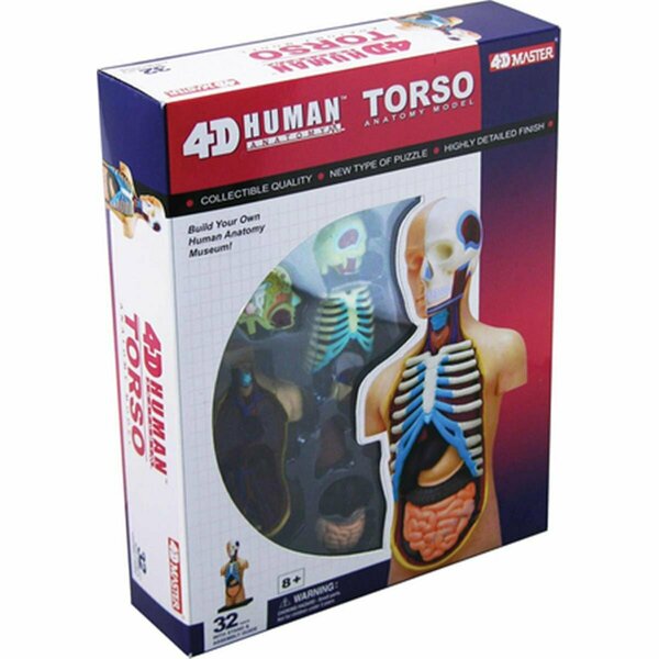 Tedco Toys 4-D Human Torso Anatomy Model TE564418